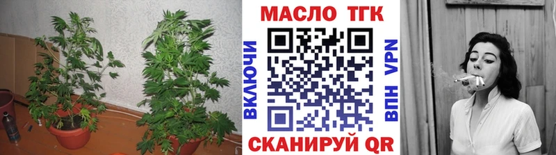 ТГК Wax Шелехов