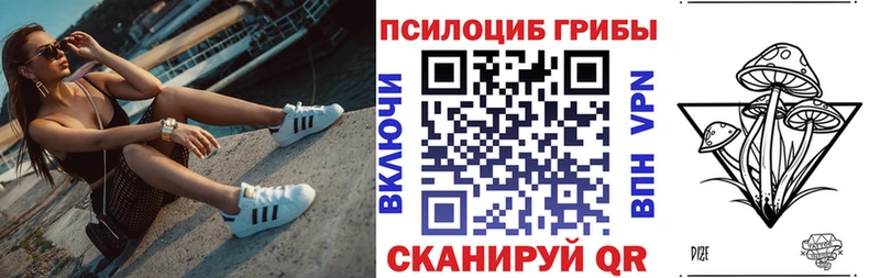 Псилоцибиновые грибы мицелий  Шелехов 